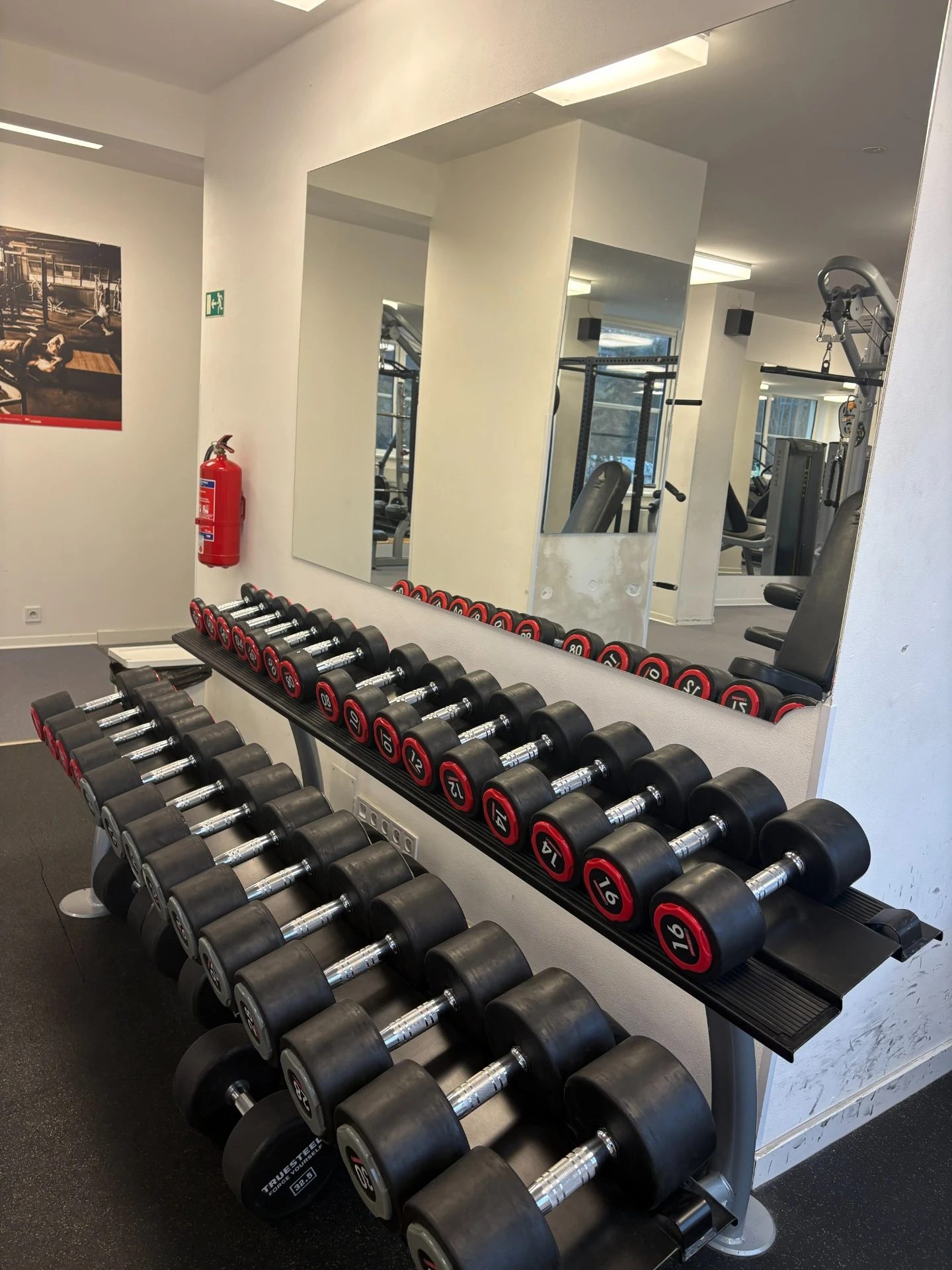 Jednoruční činky — JJGYM Benátky nad Jizerou